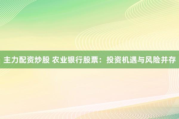 主力配资炒股 农业银行股票：投资机遇与风险并存