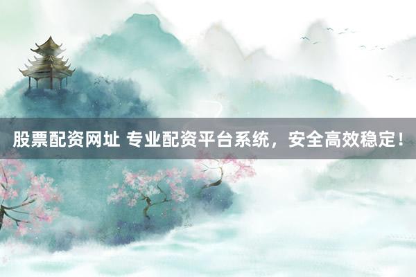 股票配资网址 专业配资平台系统，安全高效稳定！