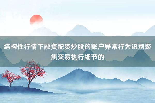 结构性行情下融资配资炒股的账户异常行为识别聚焦交易执行细节的