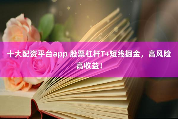 十大配资平台app 股票杠杆T+短线掘金，高风险高收益！