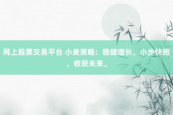 网上股票交易平台 小麦策略：稳健增长，小步快跑，收获未来。