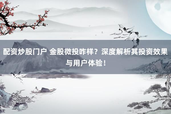 配资炒股门户 金股微投咋样？深度解析其投资效果与用户体验！